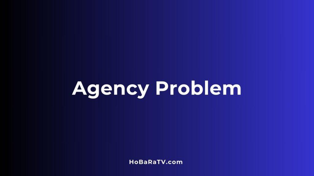 Agency Problem