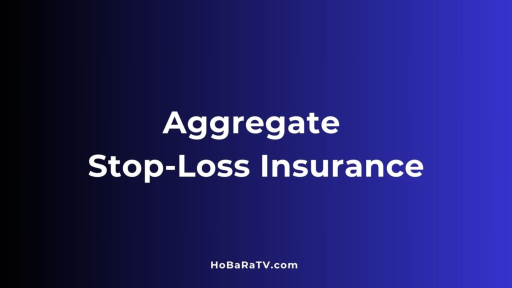 Aggregate Stop-Loss Insurance